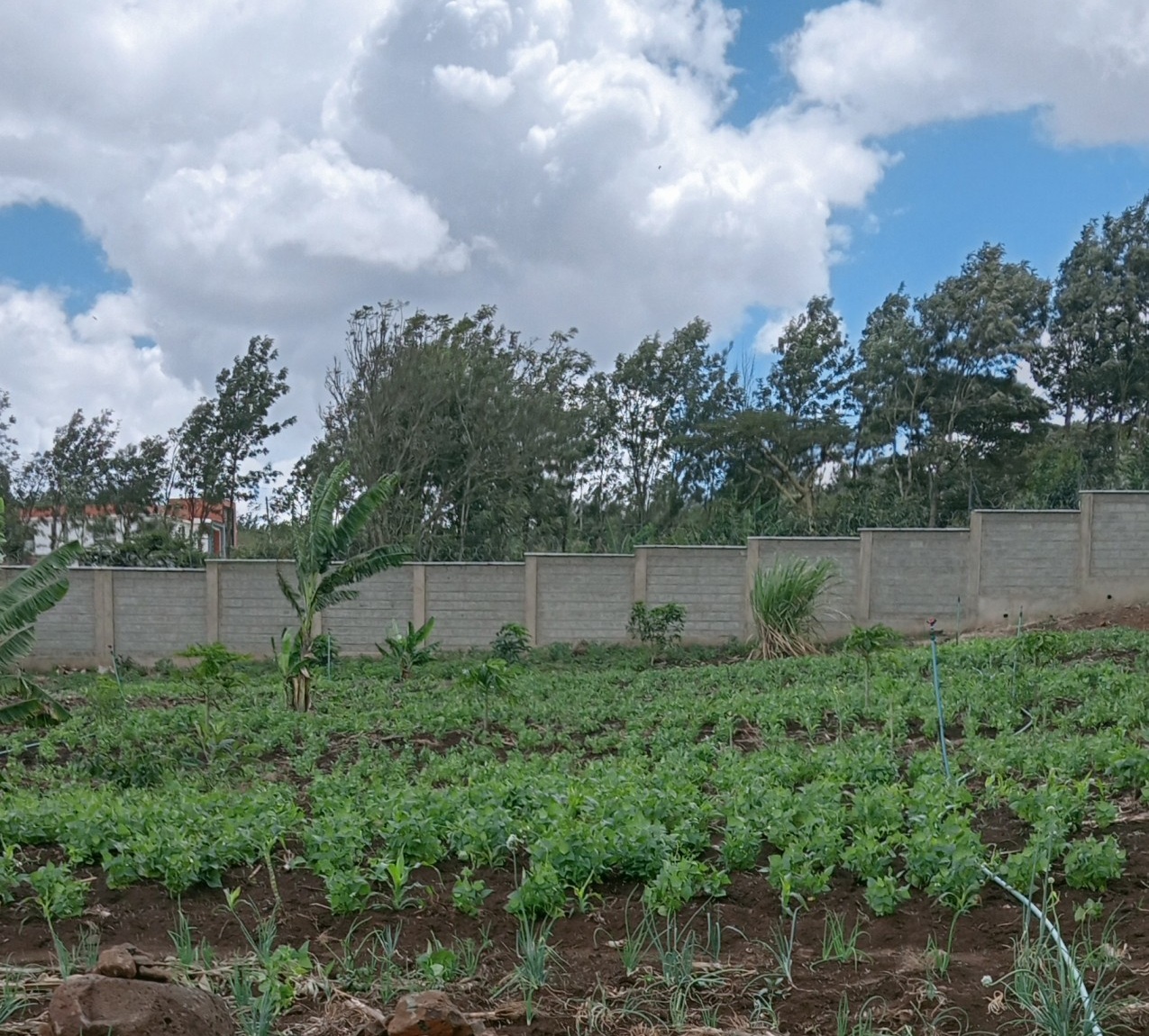 Community Fencing and Development